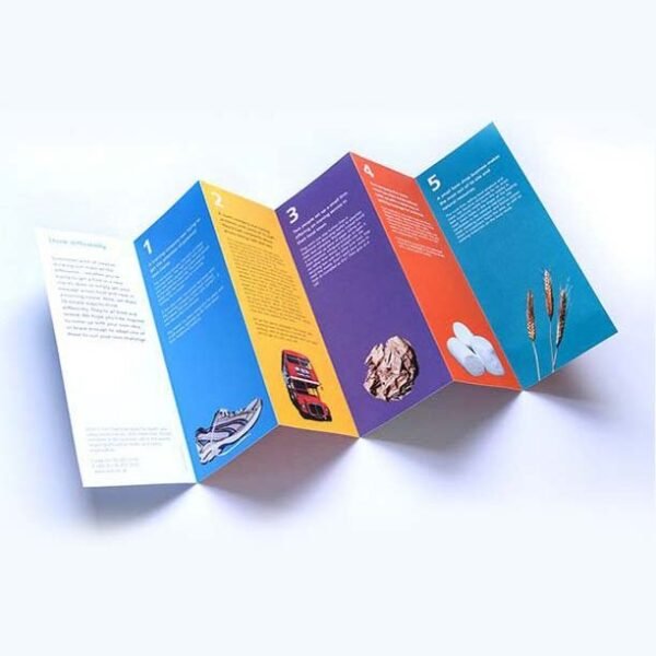 Brochures - Image 3