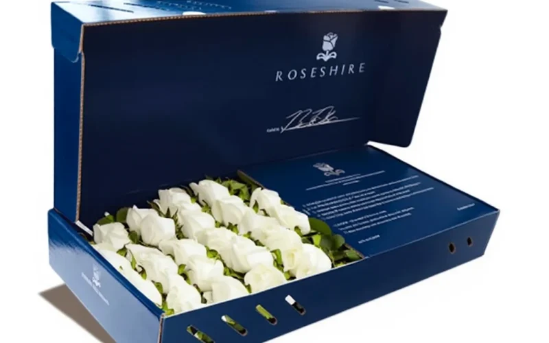 flower shipping boxes